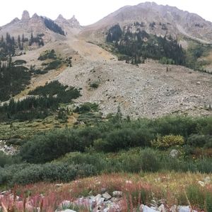 Meet your Posher, Summer